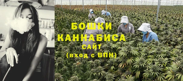 мет Арсеньев