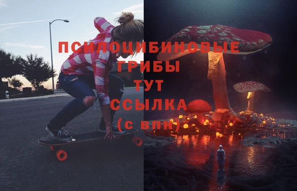 мет Арсеньев