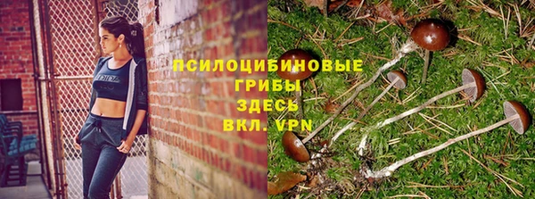 винт Армянск