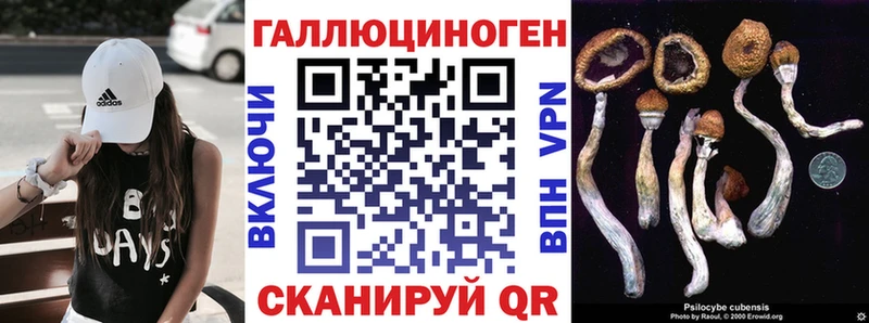 Псилоцибиновые грибы Magic Shrooms  Купить  Верхоянск 